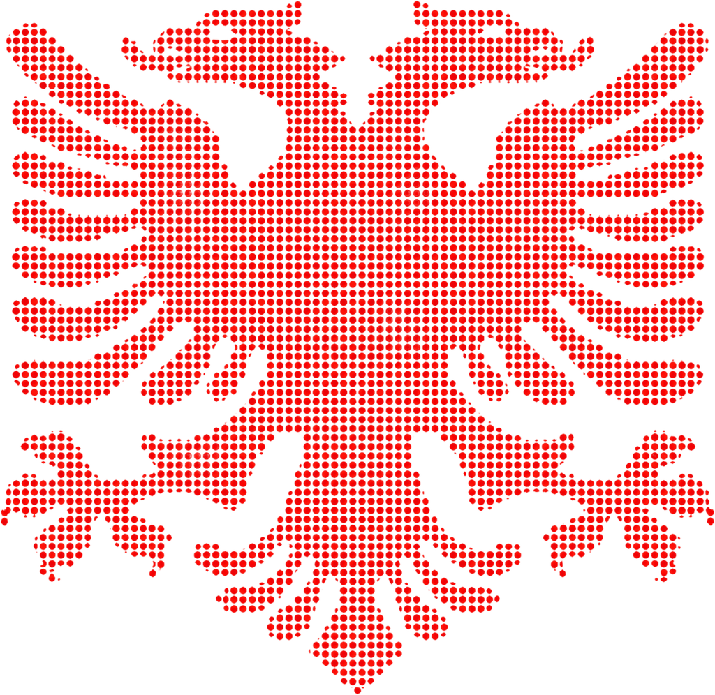 NAR eagle mark — square, transparent